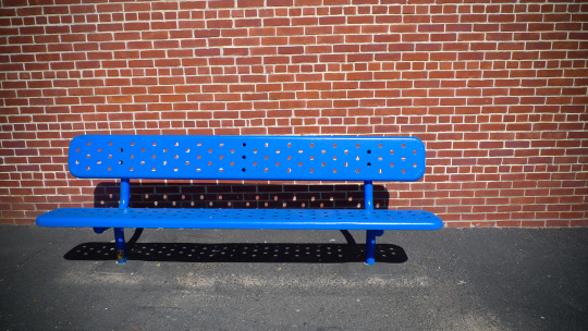 bench warmer.jpg