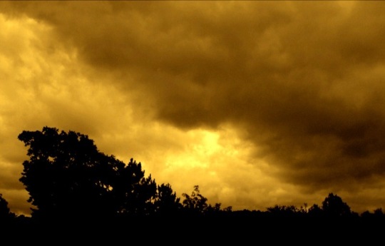yellow sky.jpg
